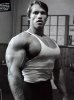 Arnold-Schwarzenegger-Pictures-2iujko.jpg