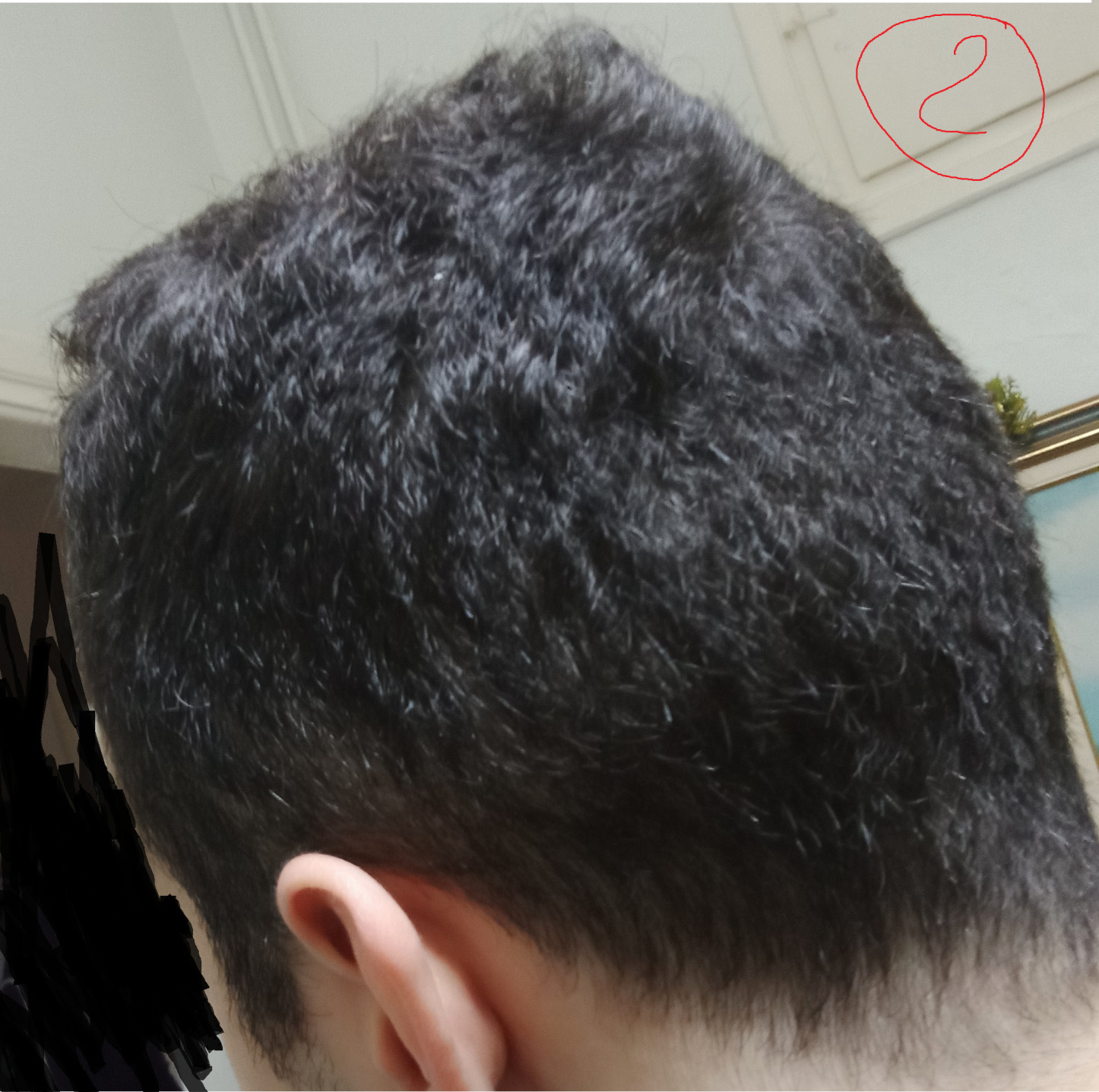 Χωρίς τίτλο.jpg