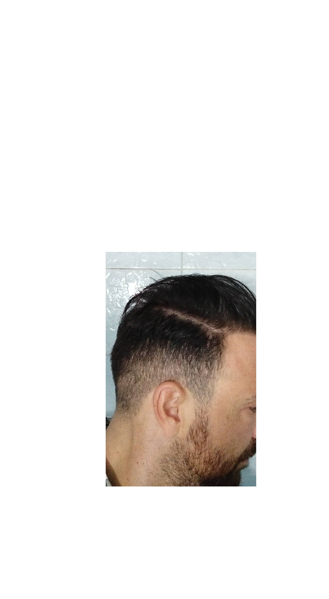 1544549410226_trimmed.png