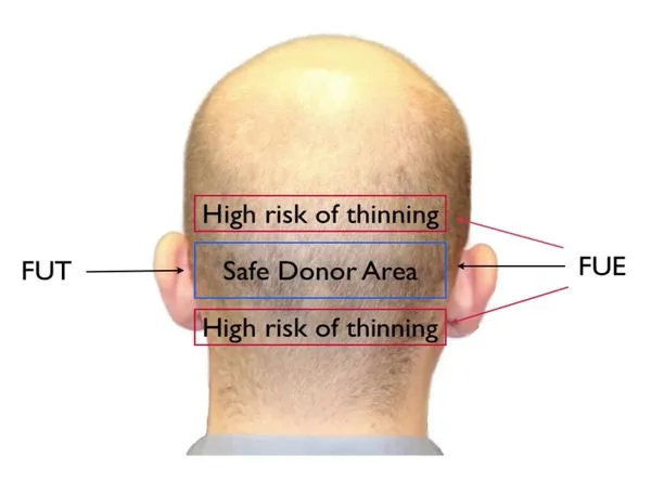1681131253156.png