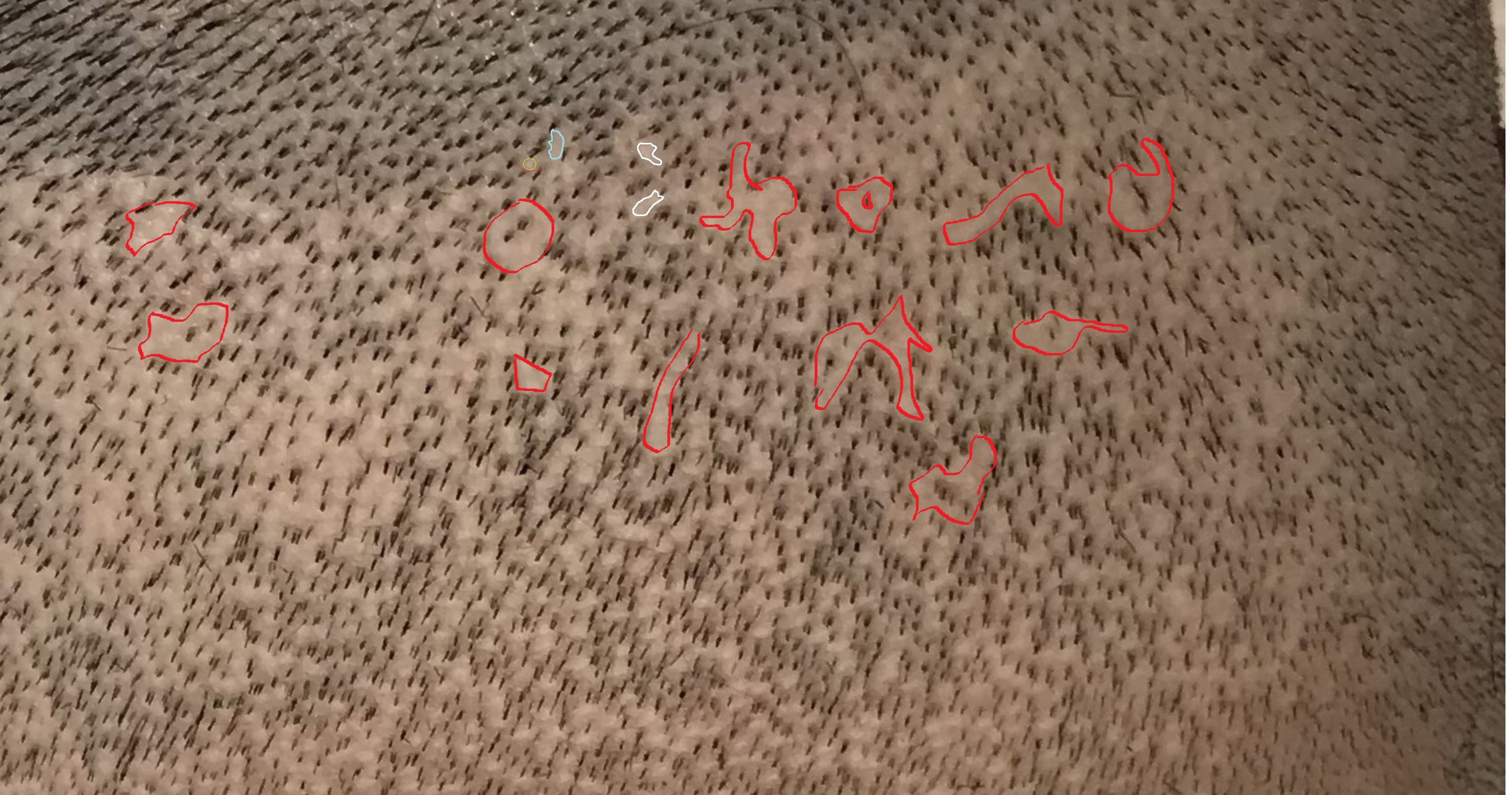 1739391413046.jpeg