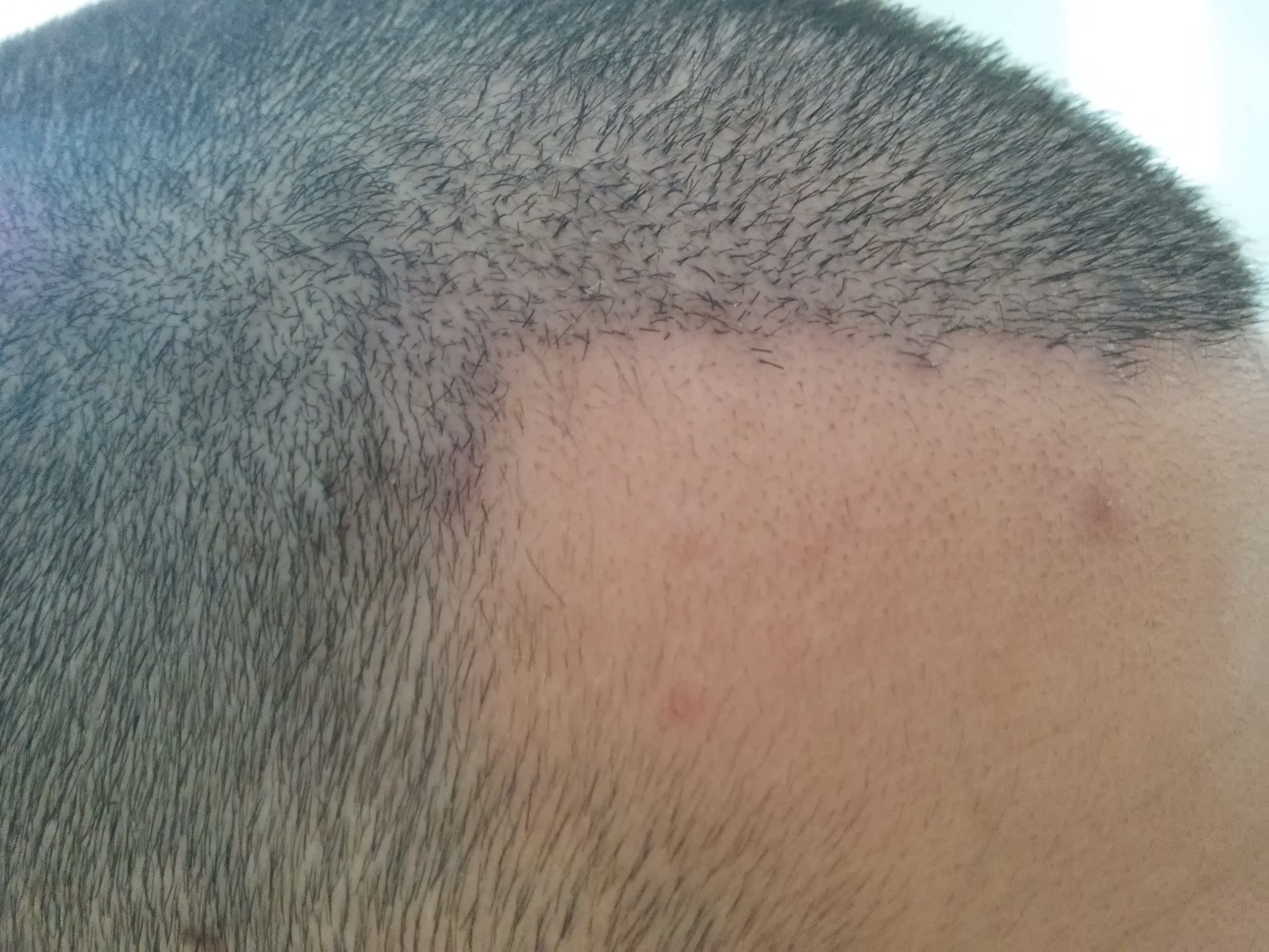 20140911_125056.jpg