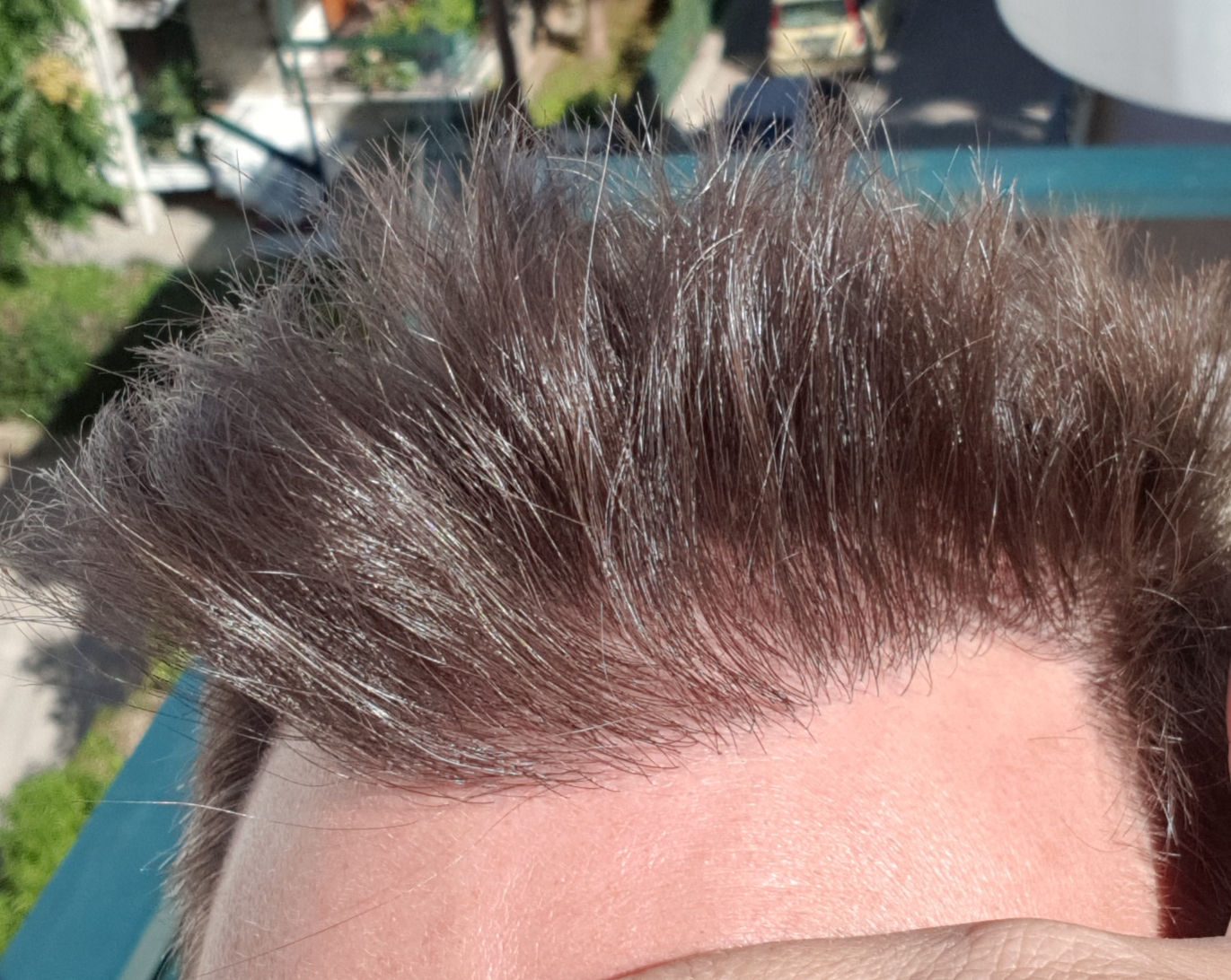 20190807_095917.jpg