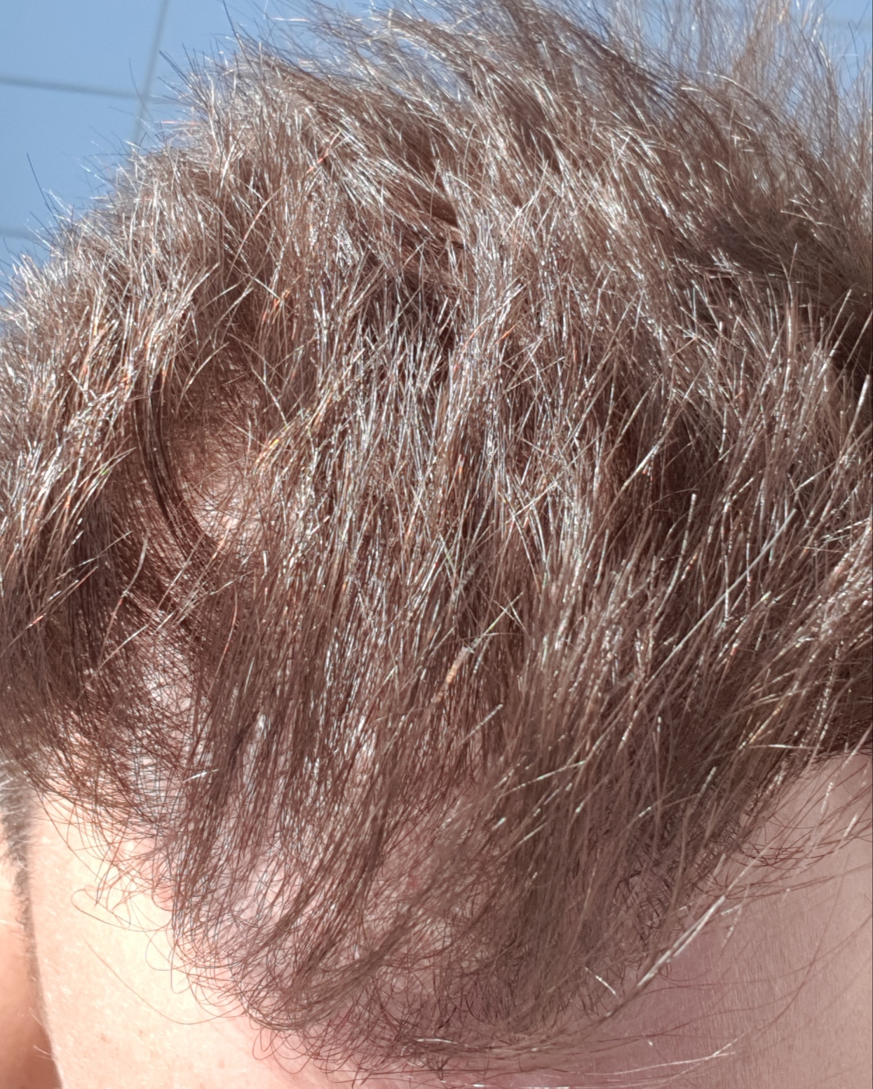 20190807_100036.jpg