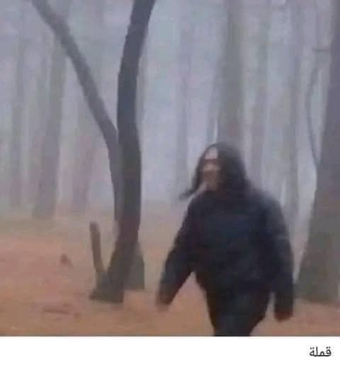 466731402_8971242772959860_7644733421422106277_n.jpg