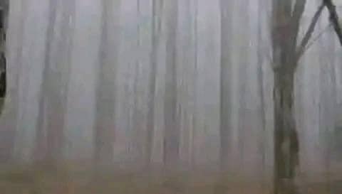 466964931_8971242599626544_3196453207517925273_n.jpg
