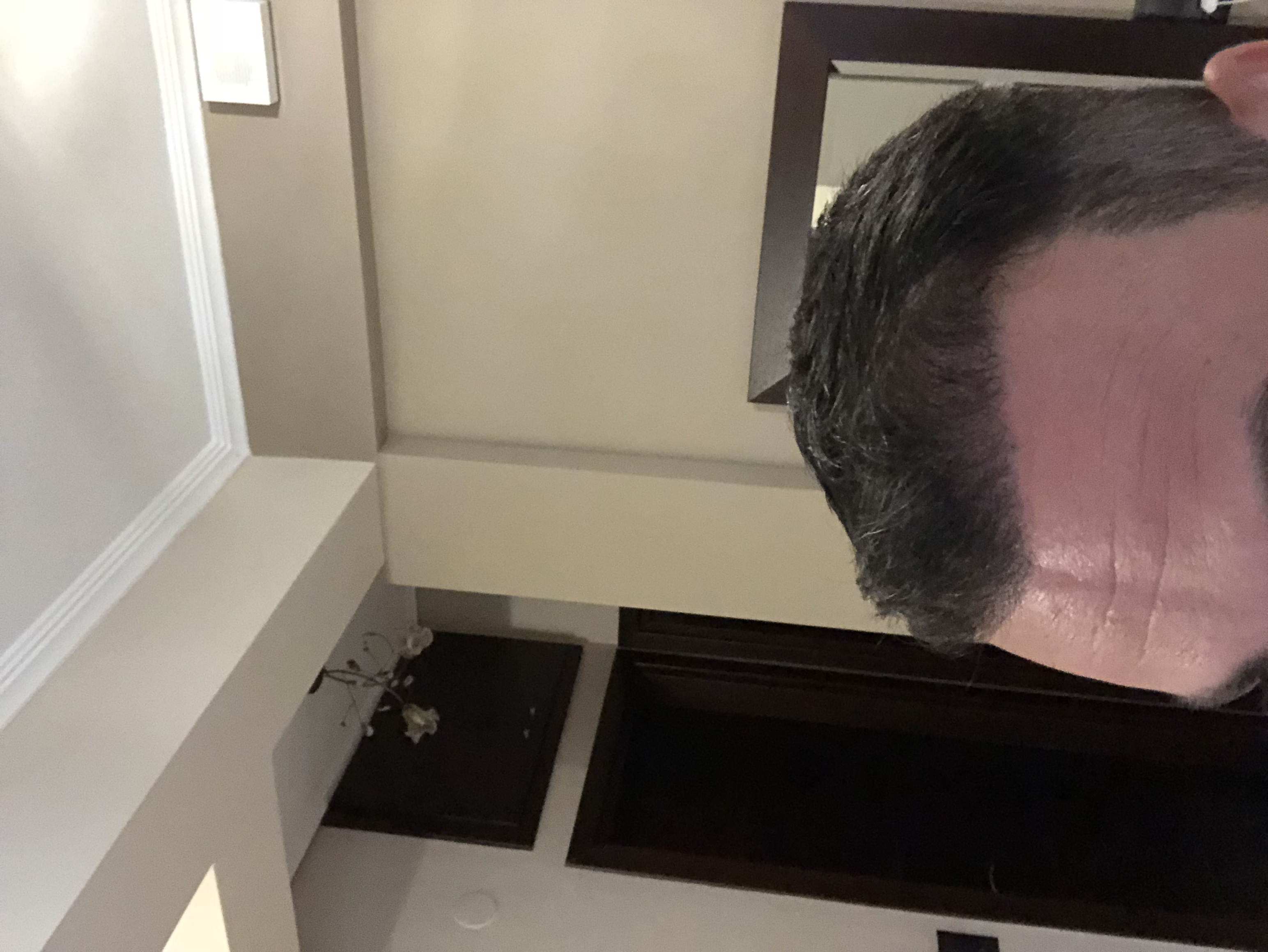 5265C4E8-8D93-45B8-9A51-4732E38C5320.jpeg