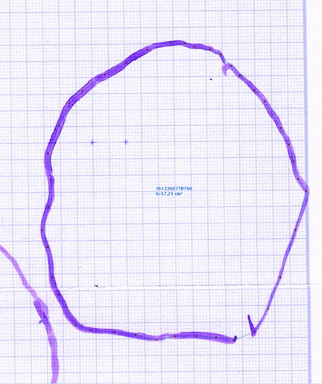 anastas5.png