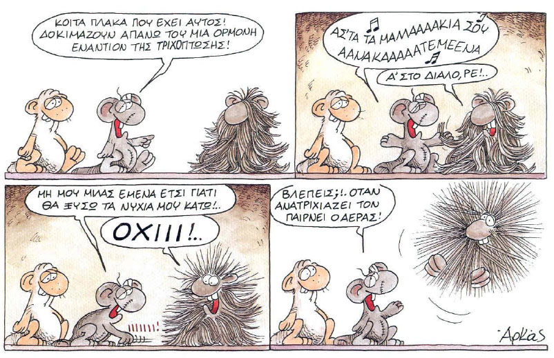 arkas.jpg