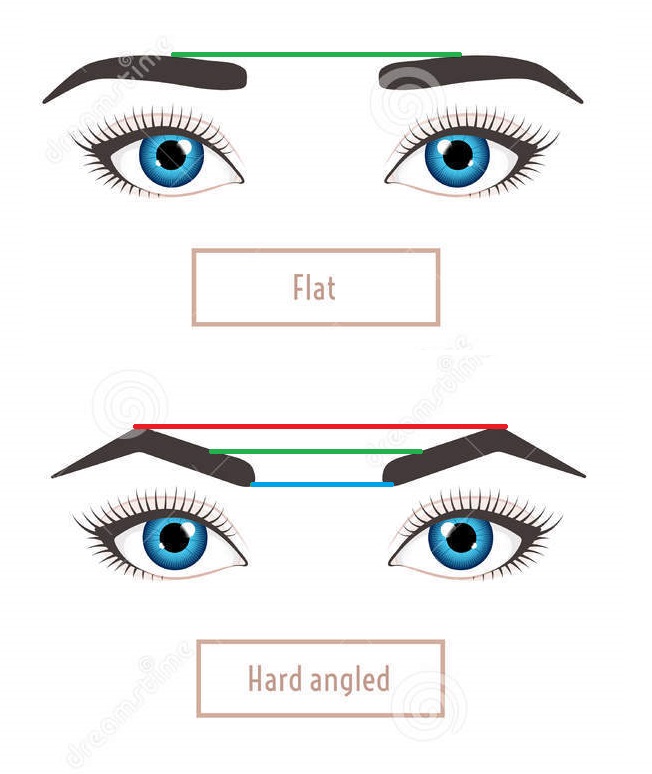 basic-eyebrow-shapes-captions-shape-types-classic-type-other-vector-illustration-eyebrows-eyes...jpg