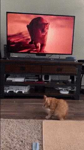 cat-lion-bourlas-ios.gif