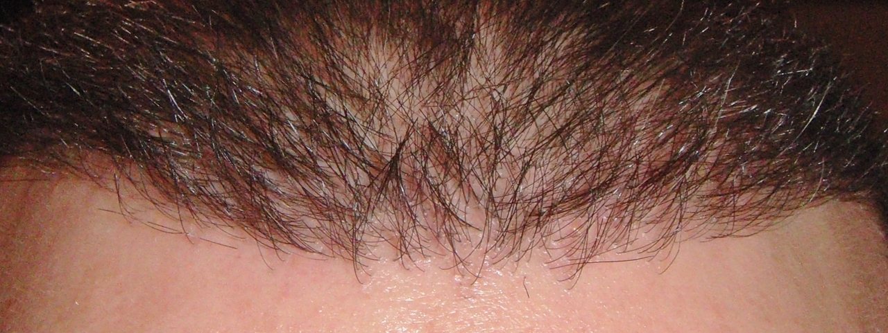 DSC06744.jpg