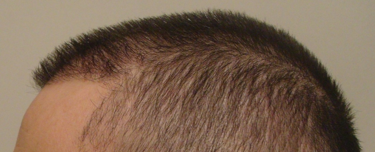 DSC06754.jpg