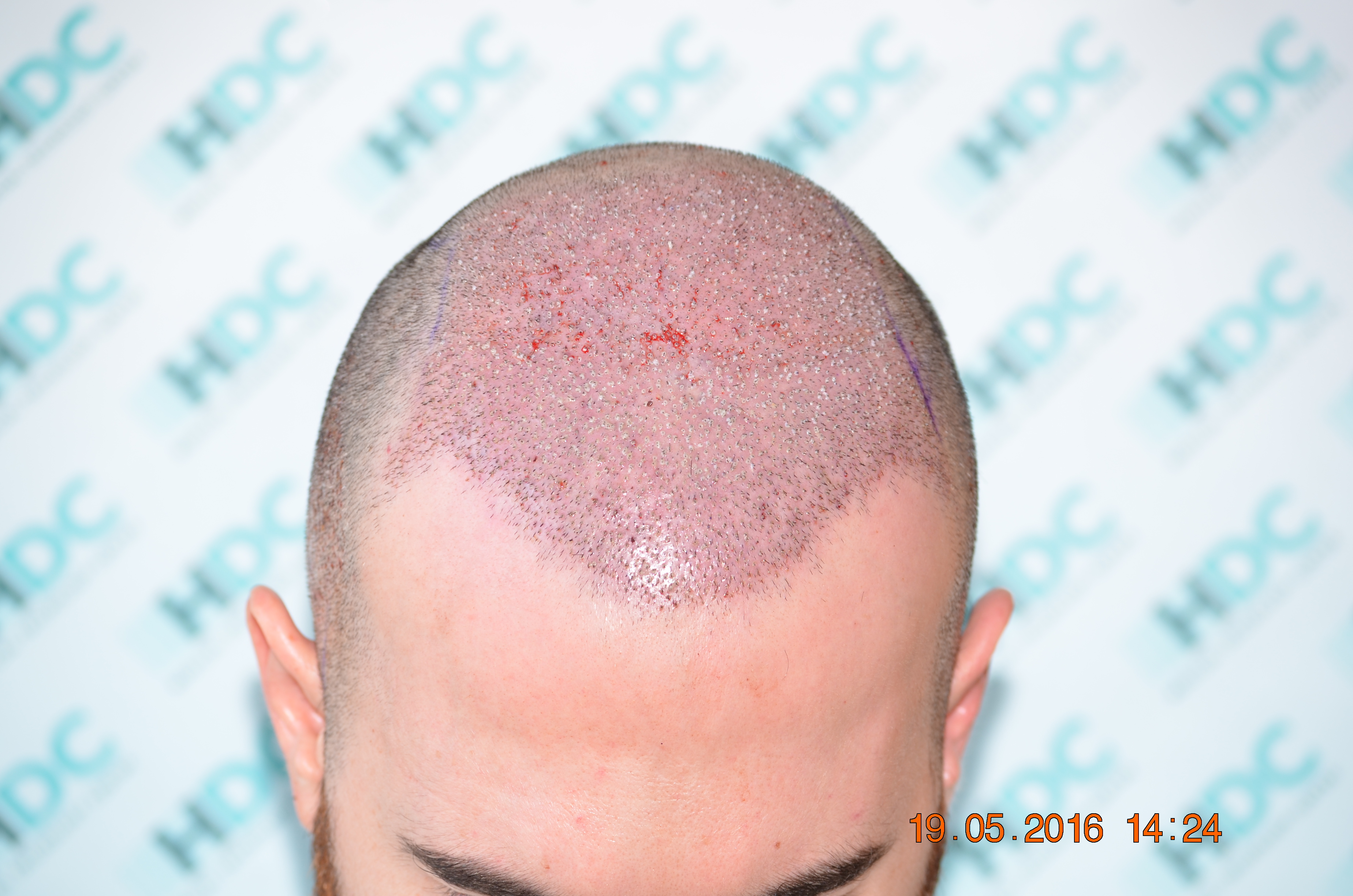 DSC_1628.JPG