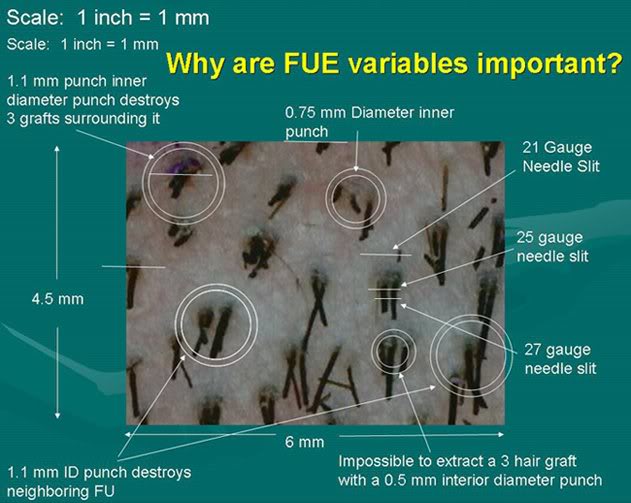 fuechart.jpg