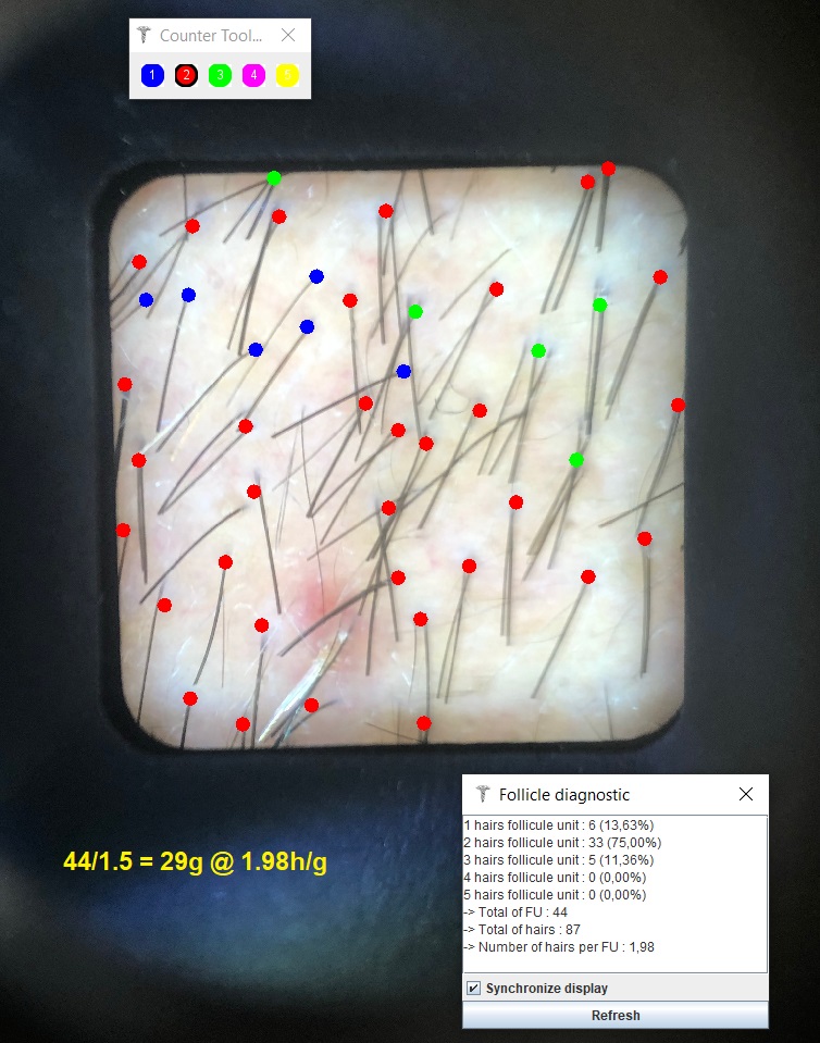full area 3.jpg