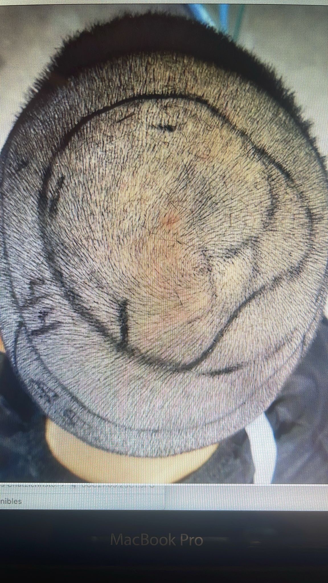 GEORGE.jpg
