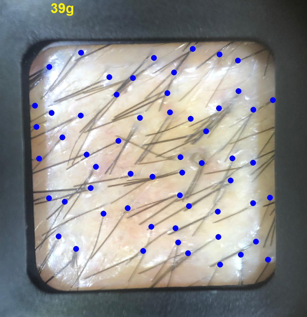 h1.jpg