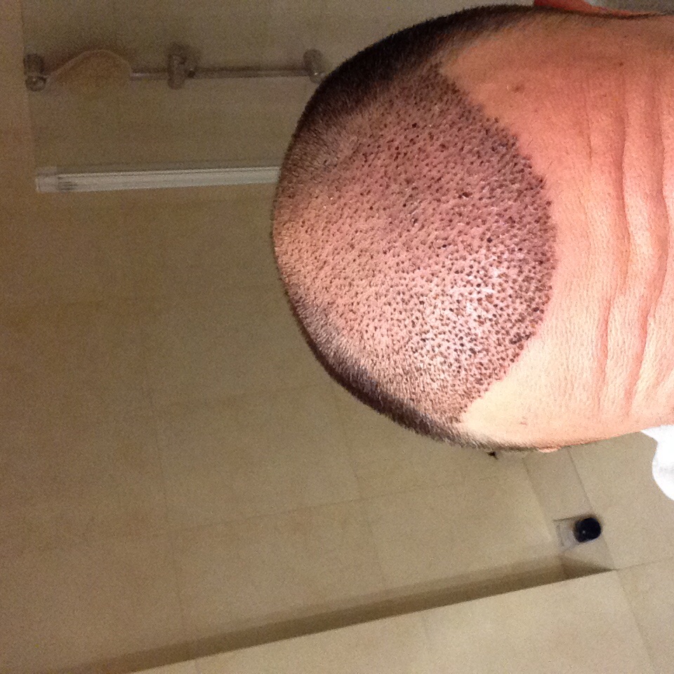 image.jpg