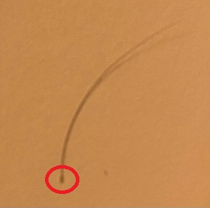 image0 (2).jpeg