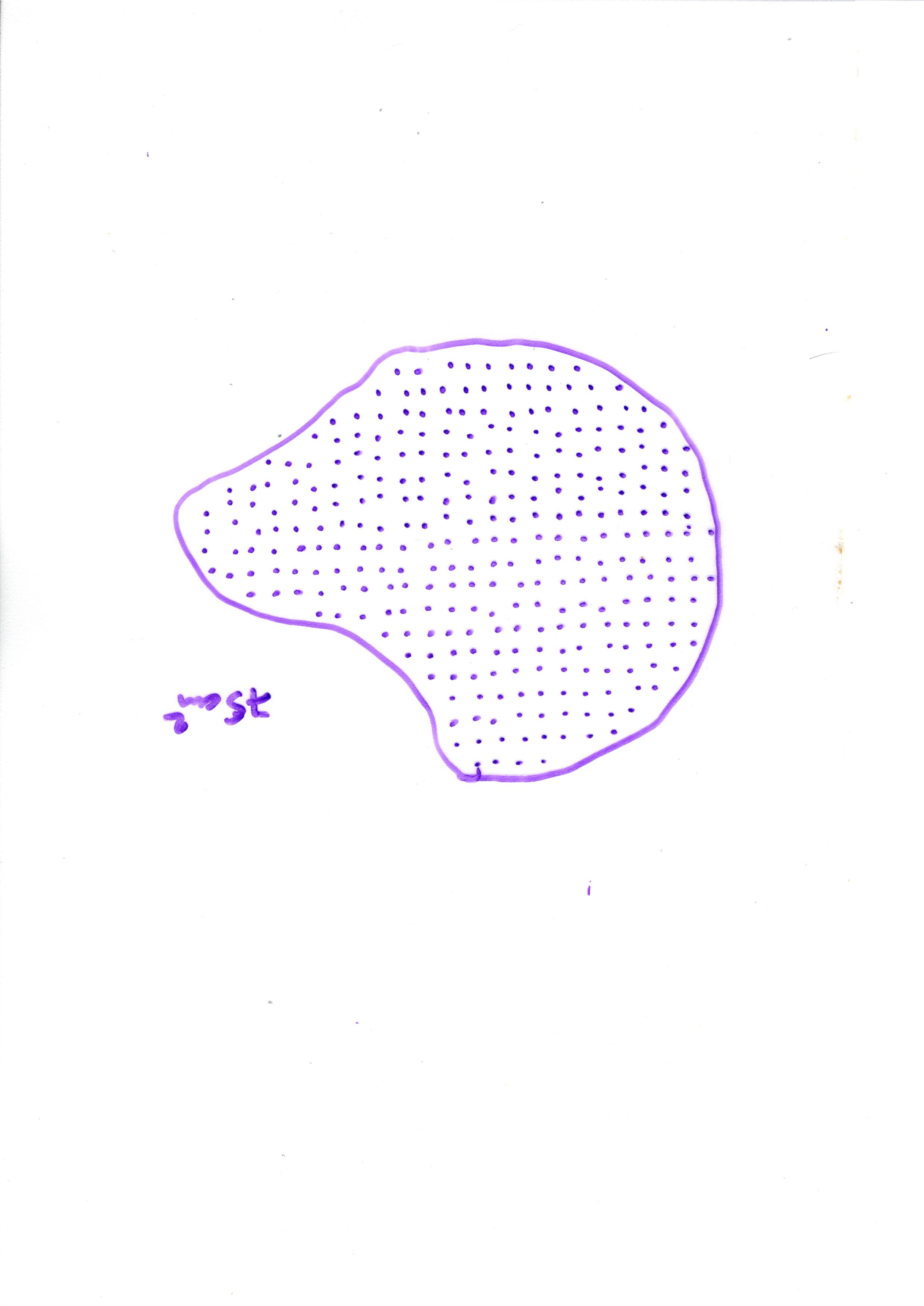 img002.jpg