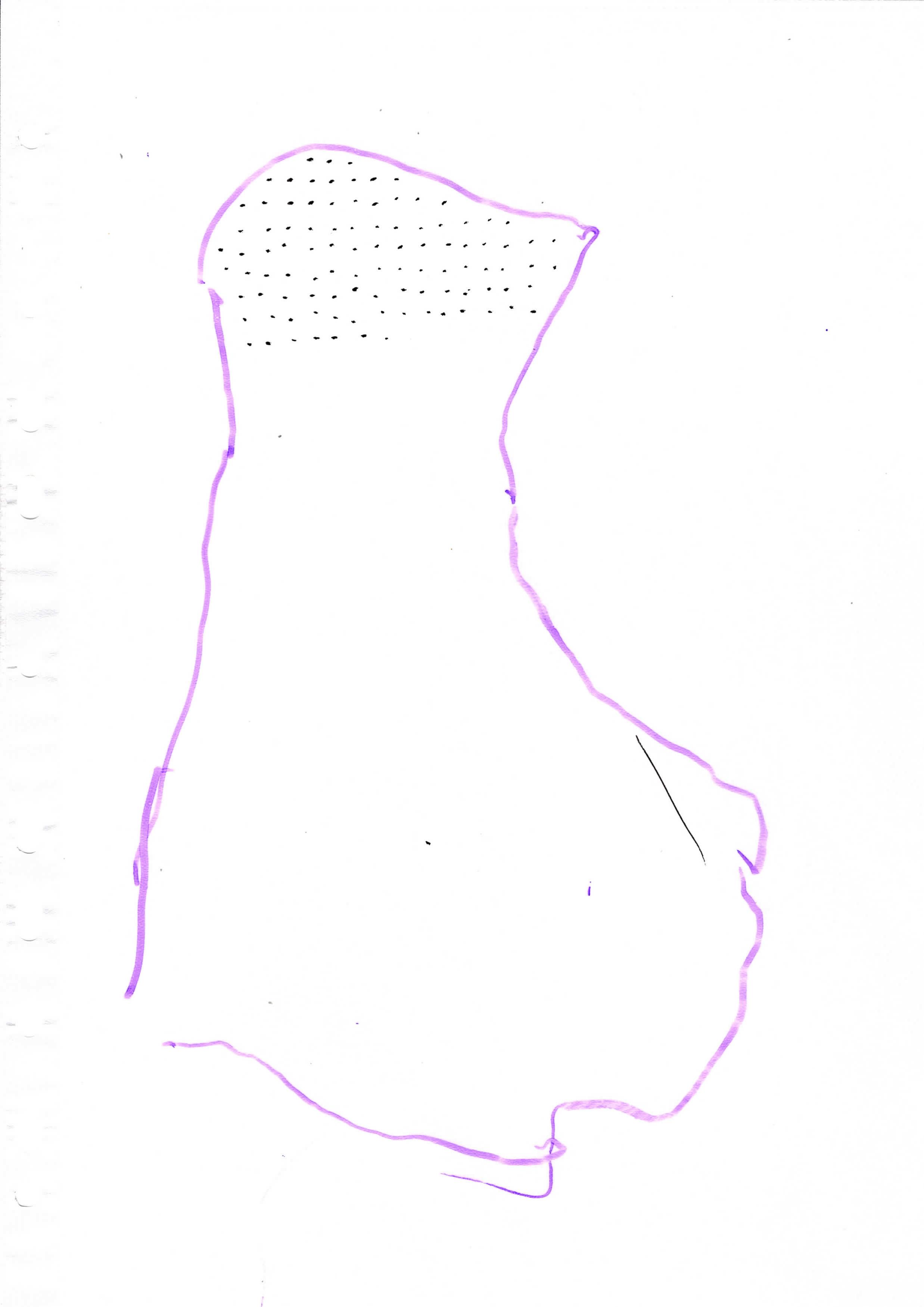 img004-page-001.jpg