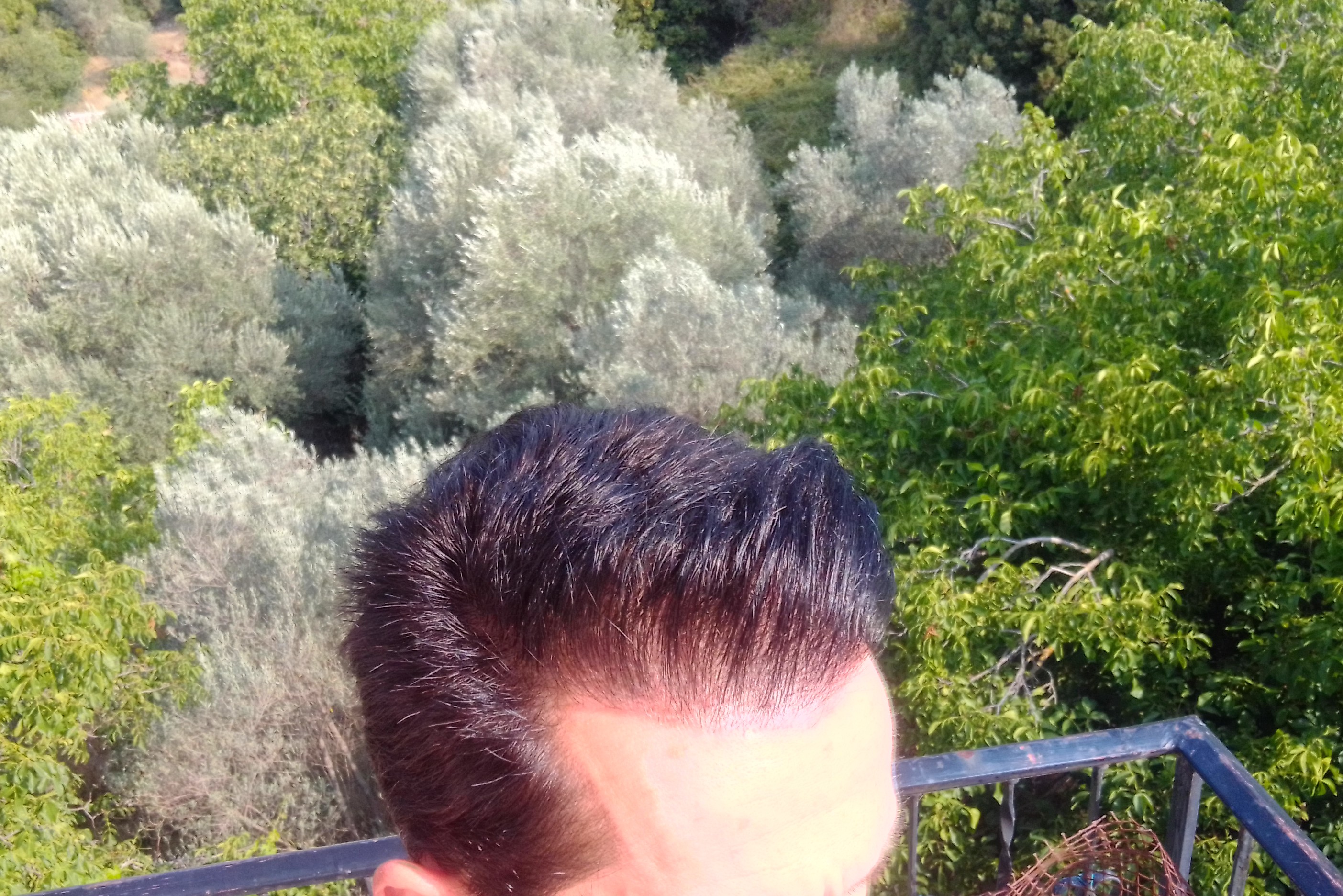 IMG_20200714_092300_HDR.jpg