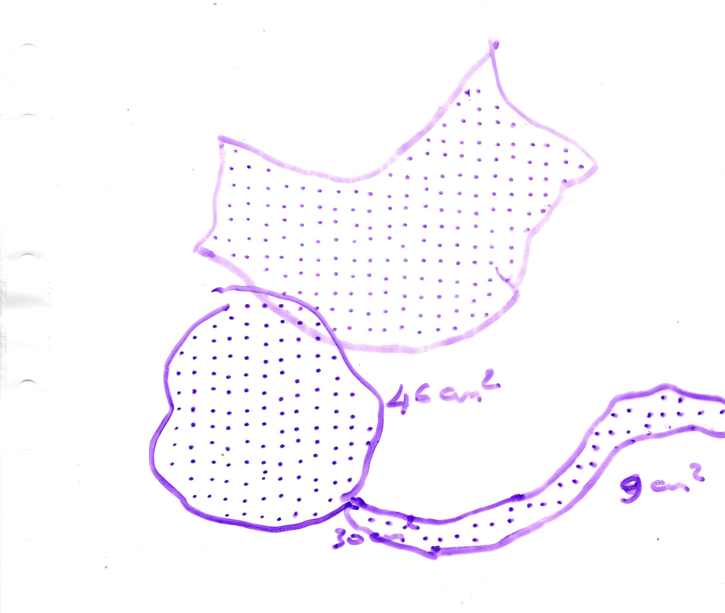 measurements.jpg