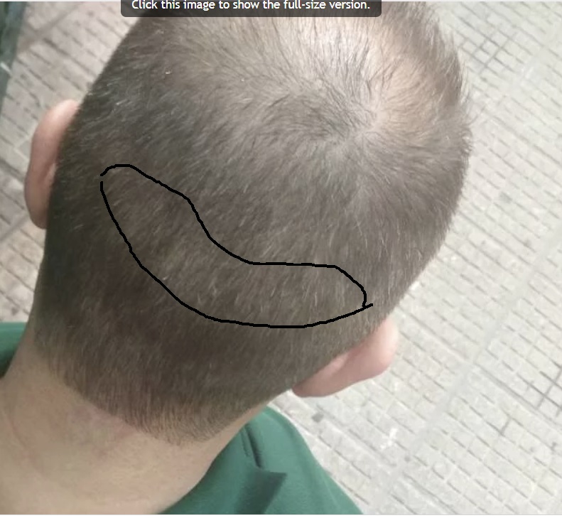 mic2.jpg