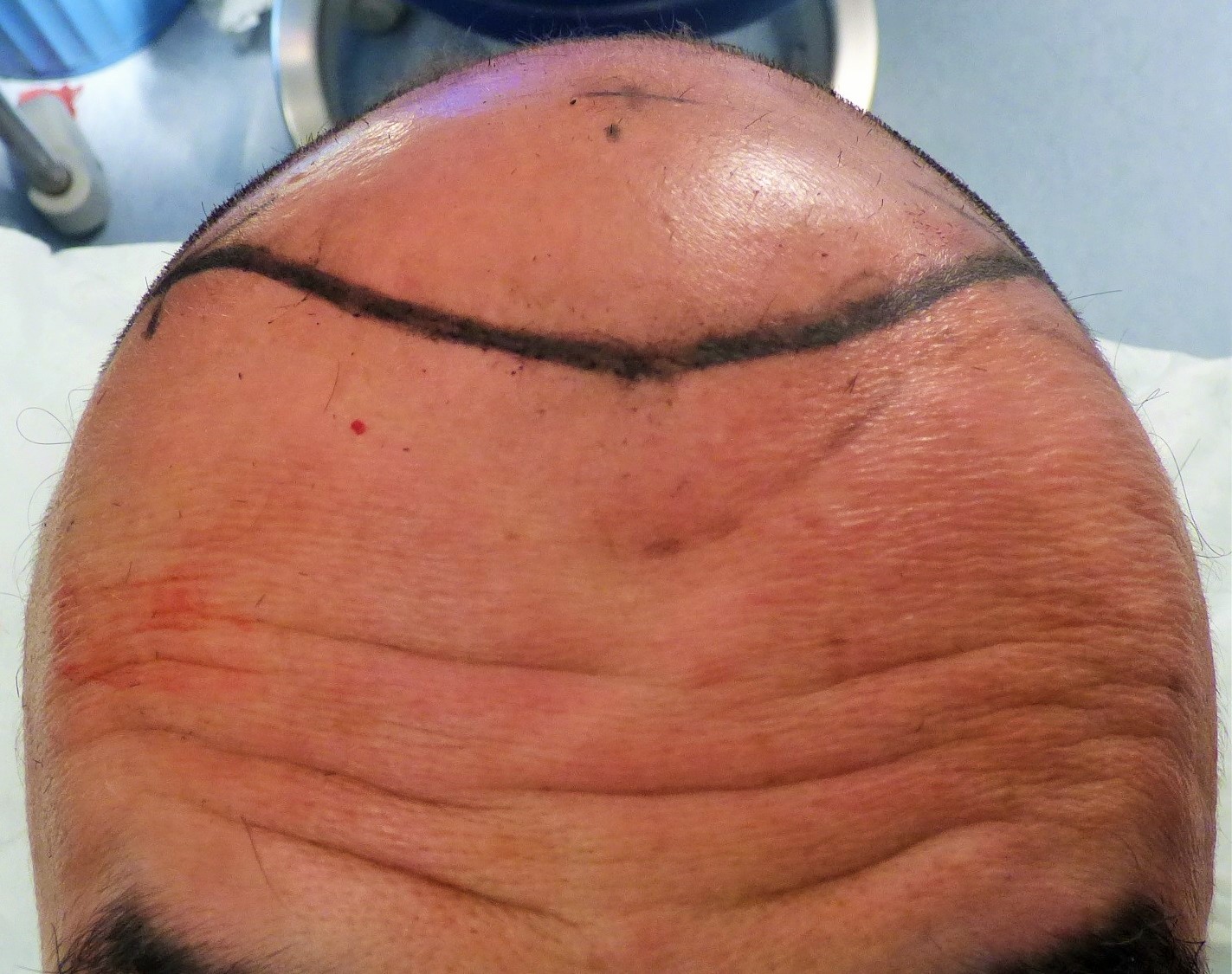 pic2.jpg