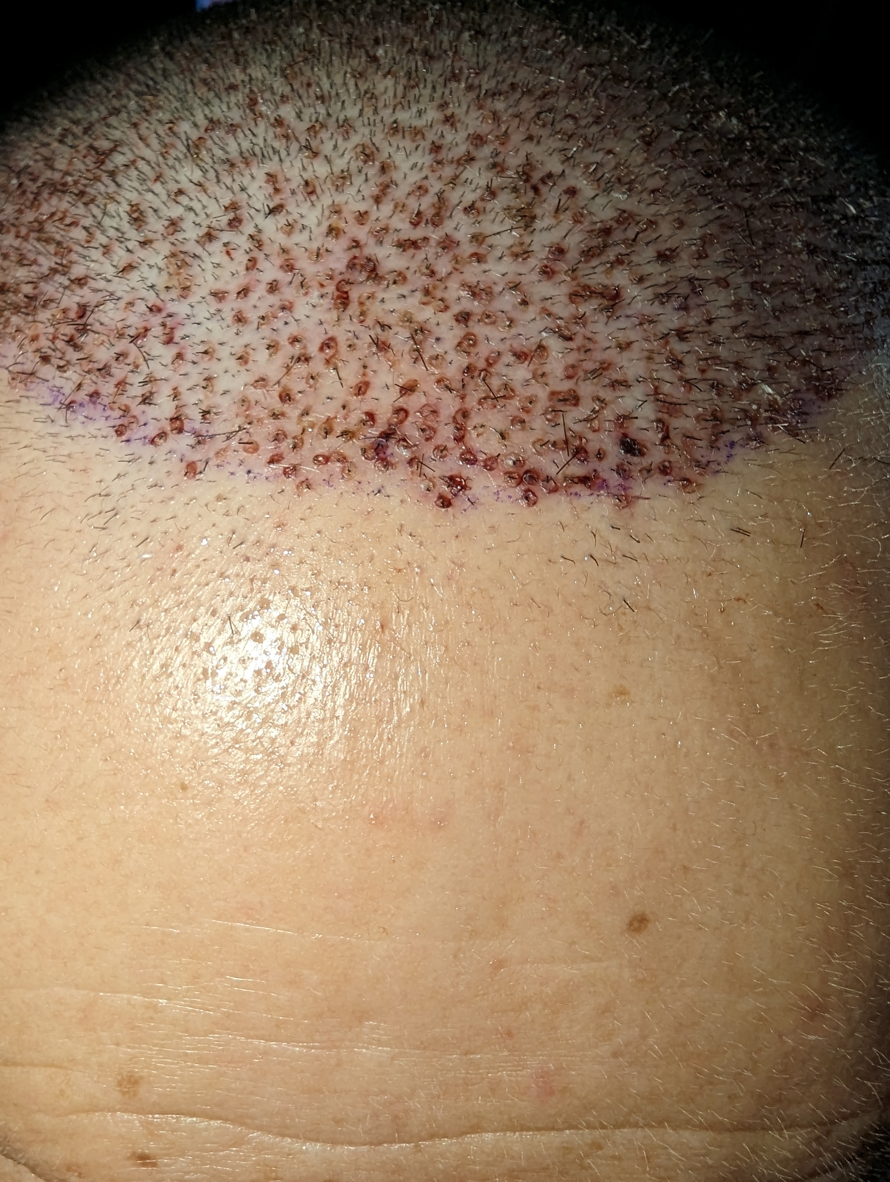 PXL_20230127_123318316.jpg