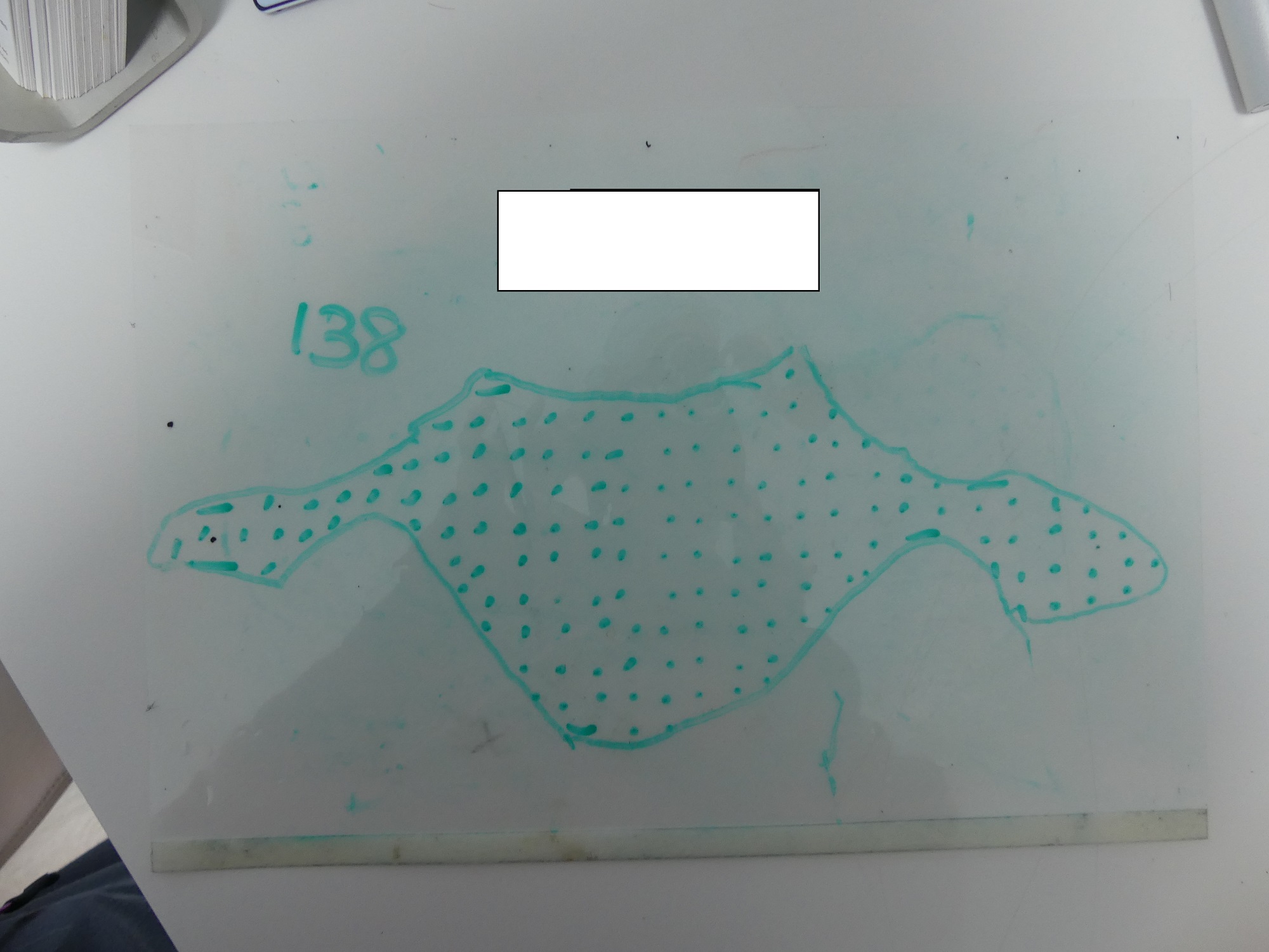 surface.jpg