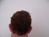 SDC10095-W800.jpg