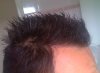 02-04-10_1358.jpg