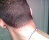 04-05-10_2250.jpg