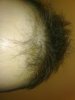 DSC01061-W800.jpg