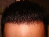 DSC04881.jpg