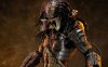 predators-video-footage.jpg