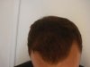 DSC01270-W800.jpg