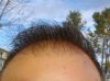IMGP0878.jpg