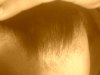 DSC00034.JPG