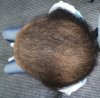 DSC00926.JPG