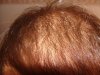 DSC00568.JPG