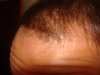 DSC00567.JPG