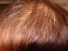 DSC00570.JPG