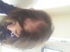 20170930_152155.jpg