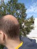 IMG_20180203_131323.jpg