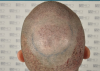 Crown1.png