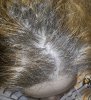 DSC00030.jpg