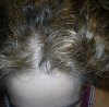 DSC00112.jpg